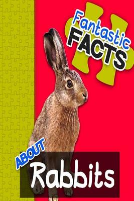 Book cover for Fantastic Facts about Rabbits