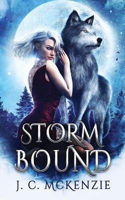 Book cover for Stormbound