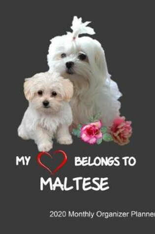 Cover of My Heart Belongs To Maltese 2020 Monthly Organizer Planner