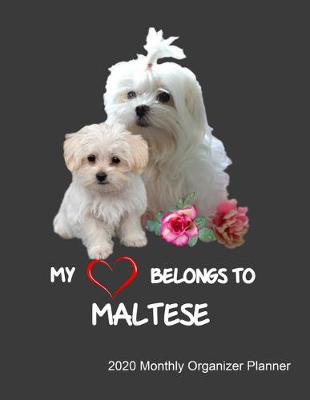 Book cover for My Heart Belongs To Maltese 2020 Monthly Organizer Planner