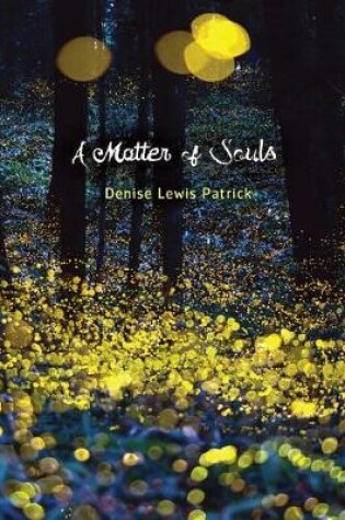 Cover of A Matter of Souls