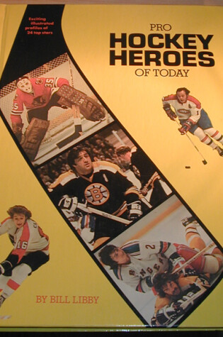 Cover of Pro Hockey Heroes Today