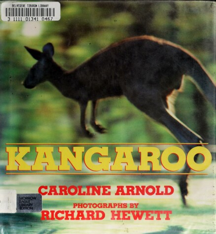 Book cover for Kangaroo