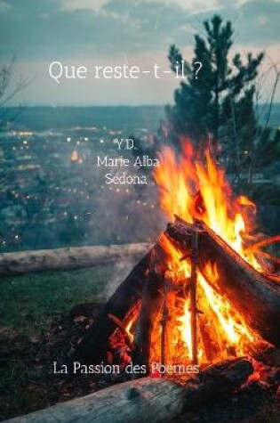 Cover of Que reste-t-il ?