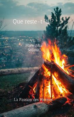 Book cover for Que reste-t-il ?