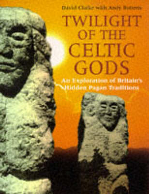 Book cover for Twilight of the Celtic Gods