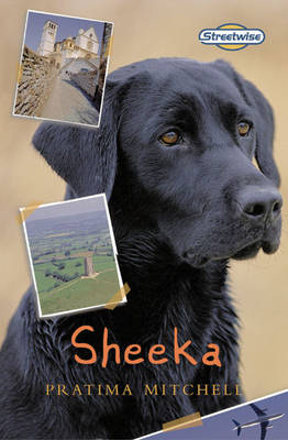 Book cover for Streetwise Sheeka