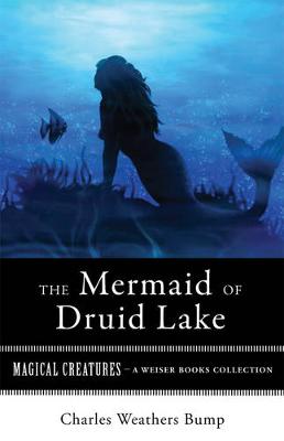 Book cover for Mermaid of Druid Lake