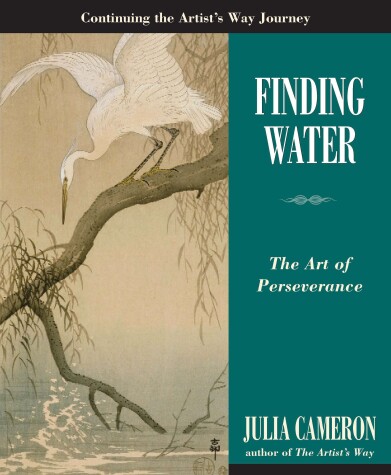 Book cover for Finding Water
