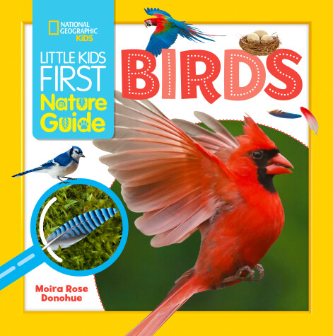 Book cover for Little Kids First Nature Guide Birds