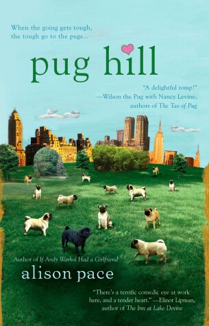 Book cover for Pug Hill