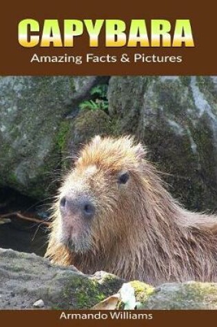 Cover of Capybara