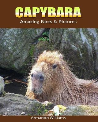 Book cover for Capybara