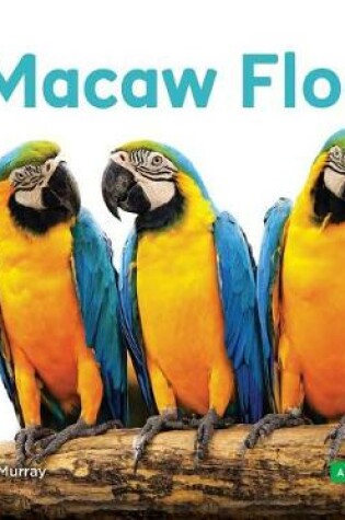 Cover of Macaw Flock