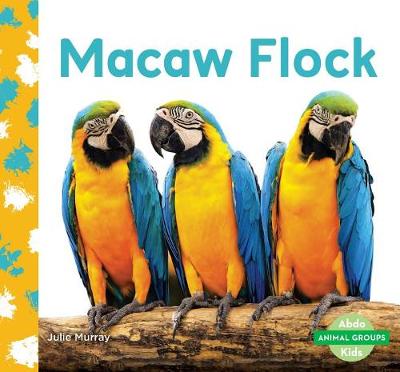 Book cover for Macaw Flock