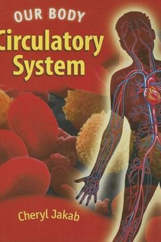 Cover of Us Circulatory System Our Body