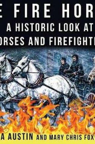 Cover of The Fire Horse