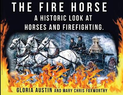 Book cover for The Fire Horse