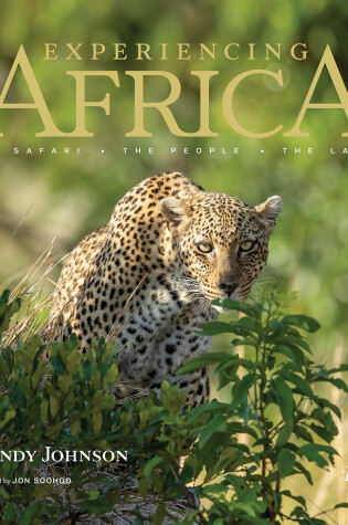 Cover of Experiencing Africa