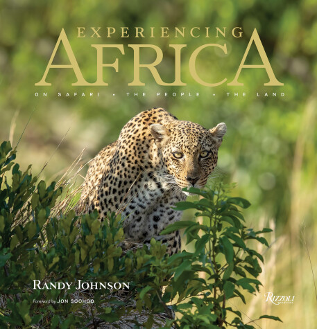 Book cover for Experiencing Africa