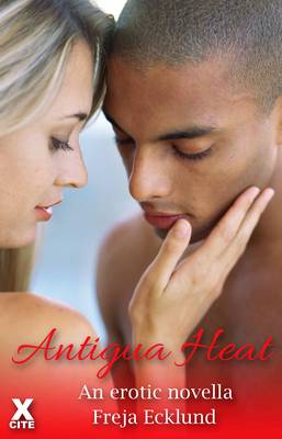 Book cover for Antigua Heat