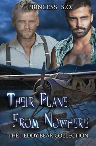 Cover of Their Plane from Nowhere