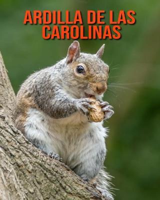 Book cover for Ardilla de las Carolinas