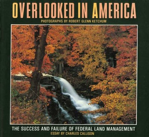 Book cover for Overlooked in America