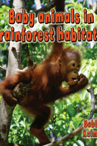 Cover of Baby Animals in Rainforest Habitats