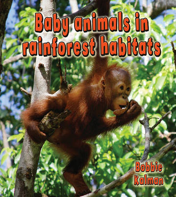 Book cover for Baby Animals in Rainforest Habitats