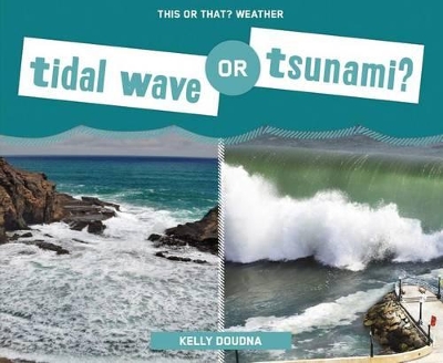 Book cover for Tidal Wave or Tsunami?