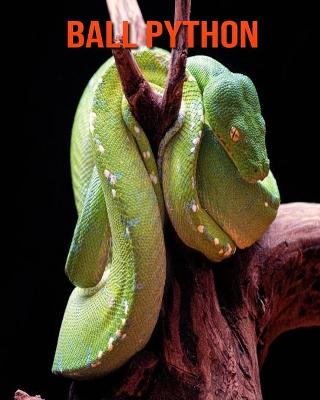 Book cover for Ball Python