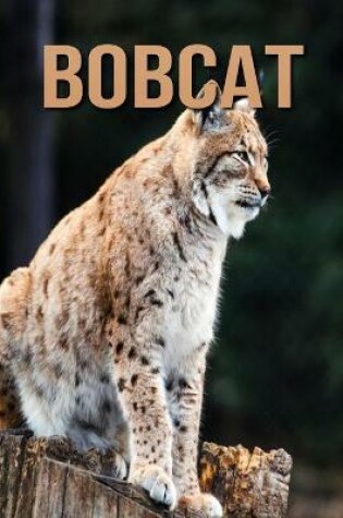 Cover of Bobcat