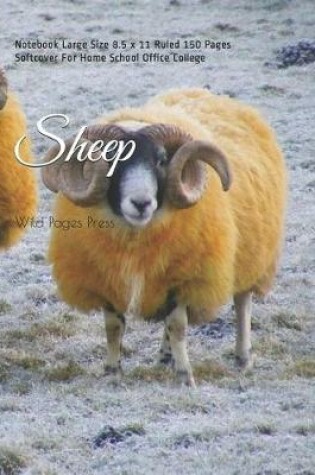 Cover of Sheep