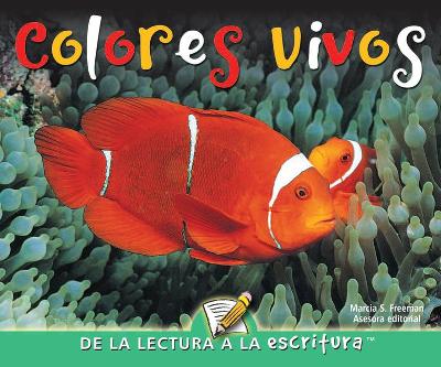 Book cover for Colores Vivos