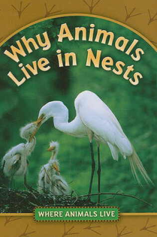 Cover of Why Animals Live in Nests