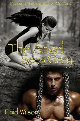 Cover of The Angel Sees Grey