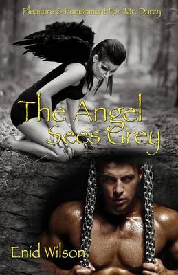 Book cover for The Angel Sees Grey