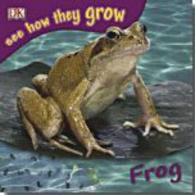 Book cover for Frog with Sticker