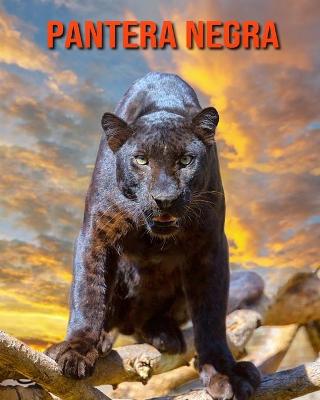 Book cover for Pantera negra