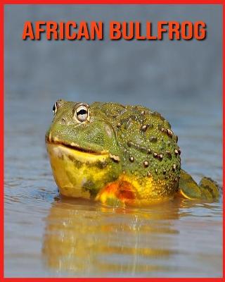 Book cover for African Bullfrog