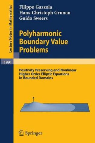 Cover of Polyharmonic Boundary Value Problems