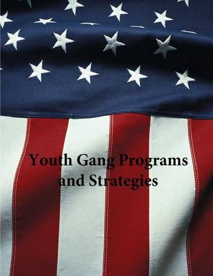 Book cover for Youth Gang Programs and Strategies