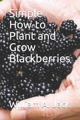 Book cover for Simple How-To Plant and Grow Blackberries