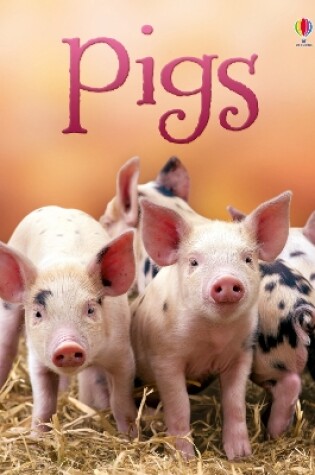 Cover of Pigs