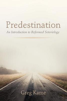 Book cover for Predestination