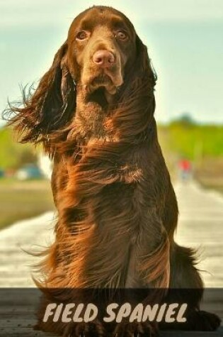 Cover of Field Spaniel