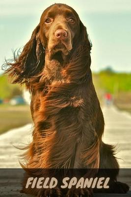 Book cover for Field Spaniel