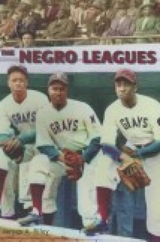 Cover of The Negro Leagues