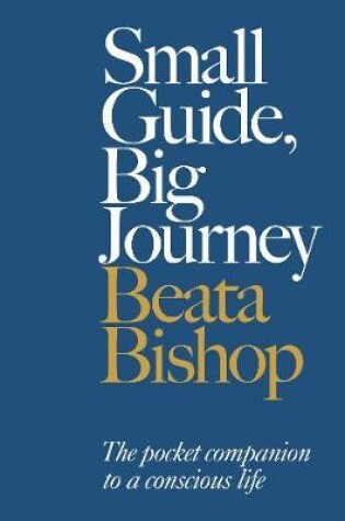Cover of Small Guide, Big Journey